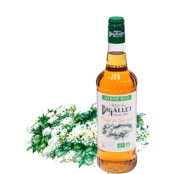Sirop Sureau BIO