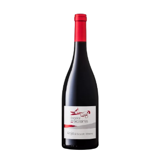 Anjou rouge Galloires