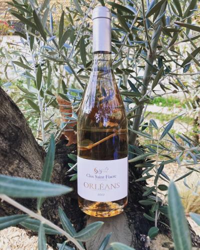 Orléans rosé